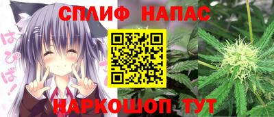 сатива Краснознаменск