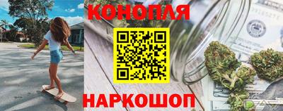 прущие грибы Краснодар