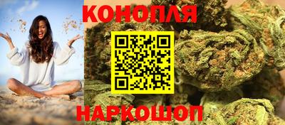 прущие грибы Краснодар