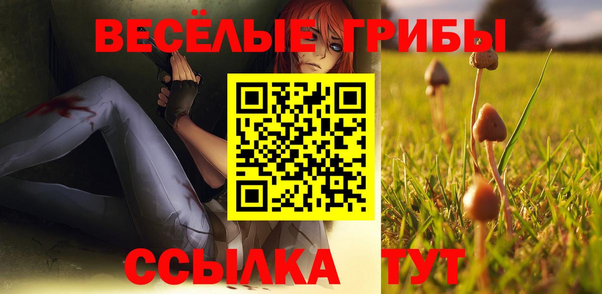 Псилоцибиновые грибы GOLDEN TEACHER  Вход с VPN  Чебаркуль 